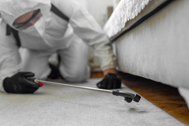 Professional Bed Bug Control technician working in Tularosa, NM